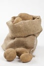 Raw potatoes in burlap bag Royalty Free Stock Photo