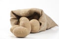 Raw potatoes in burlap bag isolated Royalty Free Stock Photo