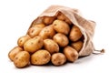 Raw potatoes in burlap bag isolated on white background Royalty Free Stock Photo