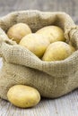 Raw potatoes in burlap bag Royalty Free Stock Photo