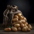 Raw potatoes in burlap sack on black background Royalty Free Stock Photo