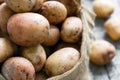 Raw potatoes in a burlap sack on the rough wooden boards close up Royalty Free Stock Photo