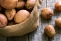 Raw potatoes in a burlap sack on the rough wooden boards close up Royalty Free Stock Photo