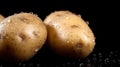 Raw potatoes on a dark background.