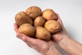 Raw potato isolated on a white background. A popular vegetable. An essential product for cooking Royalty Free Stock Photo