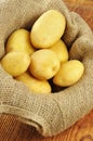 Raw potatoes in jute sack