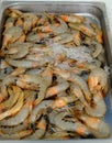 Raw prawns dispalyed at Limassol fish market Royalty Free Stock Photo