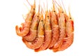 Raw prawns on a white background. Royalty Free Stock Photo