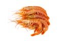 Raw prawns on a white background. Royalty Free Stock Photo