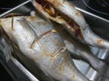 Raw preparing sea breams in a tray stuffed with red onions