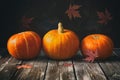 Raw pumpkins in a line on an old wooden table decorated with maple leaves. Rustic style. Thanksgiving and halloween holiday