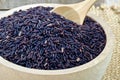 Raw purple Riceberry rice Royalty Free Stock Photo