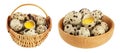 Raw quail egg in a wicker basket and wooden bowl isolated on white background with full depth of field Royalty Free Stock Photo