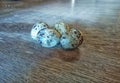 raw quail eggs, food ingredients for quail egg satay