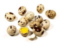 Raw Quail Eggs on white Background - Isolated Royalty Free Stock Photo