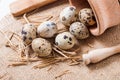 Raw quail eggs in a wooden bowl on burlap background