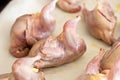 A raw quail stuffed with fresh fruits and vegetables on a tray