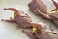 A raw quail stuffed with fresh fruits and vegetables on a tray