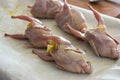 A raw quail stuffed with fresh fruits and vegetables on a tray