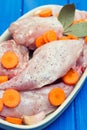 Raw rabbit with carrot on dish Royalty Free Stock Photo