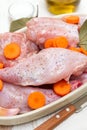 Raw rabbit with carrot on dish Royalty Free Stock Photo