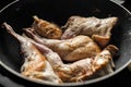 Raw rabbit with spices in a pan. Cooking stewed rabbit Royalty Free Stock Photo