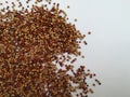 Raw Ragi/Finger Millet is a rich in protein, fiber, calcium, iron, prevents from osteoporosis and cholesterol, strengthens bone.