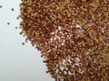 Raw Ragi/Finger Millet is a rich in protein, fiber, calcium, iron, prevents from osteoporosis and cholesterol, strengthens bone.