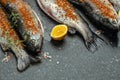 Raw rainbow trout with lemon, herbs and spices. Fish dish cooking with various ingredients, Healthy food or diet nutrition concept Royalty Free Stock Photo