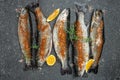 Raw rainbow trout with lemon, herbs and spices. Fish dish cooking with various ingredients, Healthy food or diet nutrition concept Royalty Free Stock Photo