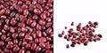 Raw red adzuki bean - Vigna angularis Royalty Free Stock Photo