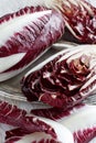 Raw red chicory Royalty Free Stock Photo
