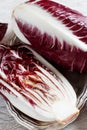 Raw red chicory Royalty Free Stock Photo