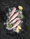 Raw Red Mullet fish with lemon, mint and rosemary on chipped ice over dark stone backdrop Royalty Free Stock Photo