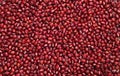 Raw red mung bean seeds or Azuki beans seeds Royalty Free Stock Photo
