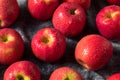 Raw Red Organic PInk Lady Apples Royalty Free Stock Photo