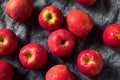 Raw Red Organic PInk Lady Apples Royalty Free Stock Photo