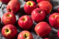 Raw Red Organic PInk Lady Apples Royalty Free Stock Photo