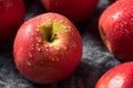 Raw Red Organic PInk Lady Apples Royalty Free Stock Photo