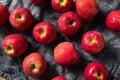 Raw Red Organic PInk Lady Apples Royalty Free Stock Photo