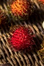 Raw Red Organic Rambutan Fruit