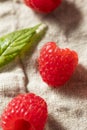 Raw Red Organic Raspberries Royalty Free Stock Photo
