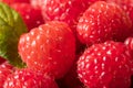 Raw Red Organic Raspberries Royalty Free Stock Photo