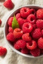 Raw Red Organic Raspberries Royalty Free Stock Photo