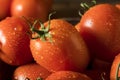 Raw Red Organic Roma Tomatoes Royalty Free Stock Photo