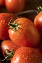 Raw Red Organic Roma Tomatoes