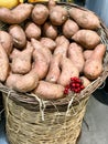 Raw Red Organic Sweet Potatoes in Sack at Supermarket Royalty Free Stock Photo