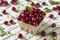 Raw Red Organic Tart Cherries