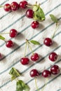 Raw Red Organic Tart Cherries