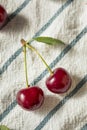 Raw Red Organic Tart Cherries